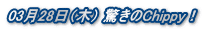 0328i؁j ChippyI@ 