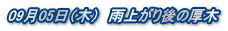 0905i؁j@Jオ̌