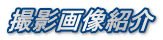 Be摜Љ